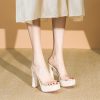 2025 Summer Women's Transparent Ultra High Heel Slippers - Waterproof Platform One Strap Sandals with Thick Heel