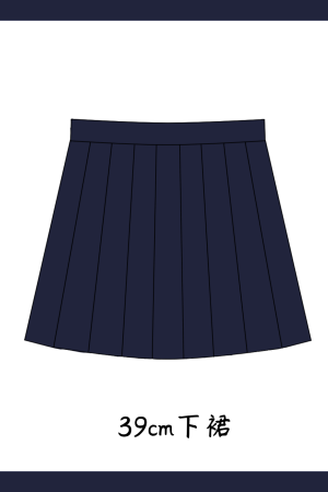 Accordion Pleated Long Sleeve & Short Sleeve JK Shirt Set - Basic Student Uniform for Women, Spring Autumn College Style