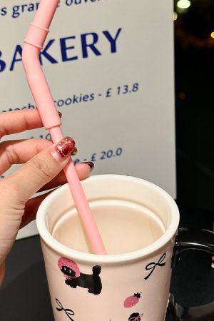 Adorable Cat Mug for Girls - 520ml Ceramic Cup with Straw, Cute Ton-Ton Design, Perfect for Everyday Use and Gifts