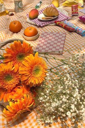 Cute Everyday Outfits, Outfit Inspo Casual Cottagecore Aesthetic Gingham Tablecloth