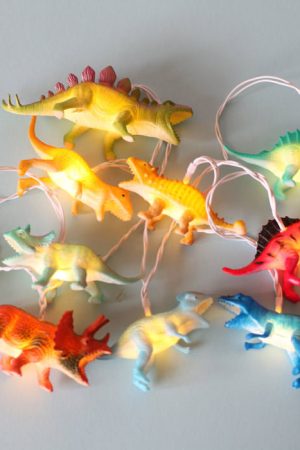 Cute Everyday Outfits, Outfit Inspo Casual Dinosaur String Lights