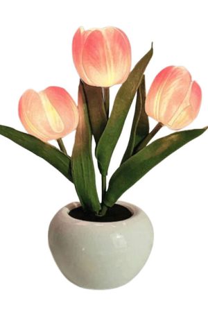 Cute Everyday Outfits, Outfit Inspo Casual LED Tulip Table Lamp