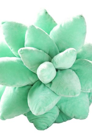 Cute Everyday Outfits, Outfit Inspo Casual Plant Mom Aesthetic Succulent Pillow