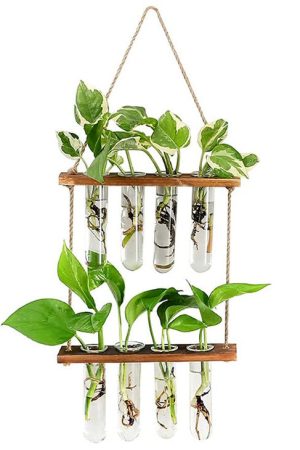 Cute Everyday Outfits, Outfit Inspo Casual Plant Mom Hanging Vase