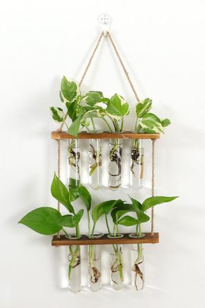 Cute Everyday Outfits, Outfit Inspo Casual Plant Mom Hanging Vase