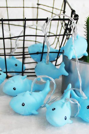 Cute Everyday Outfits, Outfit Inspo Casual Shark String Lights