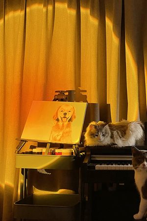 Cute Everyday Outfits, Outfit Inspo Casual The Sunset Projector