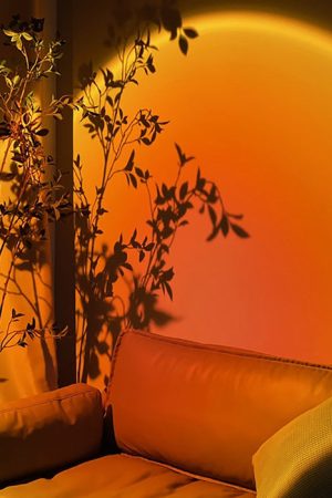 Cute Everyday Outfits, Outfit Inspo Casual The Sunset Projector