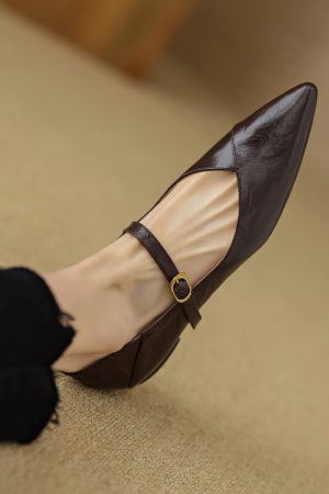 Elegant Retro Chunky Heel Mary Jane Shoes for Women - Pointed Toe One-Strap Flats for Commuting, Vintage Style Footwear