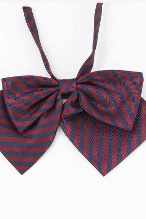 Japanese Style College Wind Uniform Set - Women's Spring JK Jacket with Pudding Bear Design - Cute and Trendy Outfit for Y2K Fashion Lovers