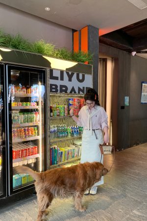 Light Pink Plus Size Stand Collar Shirt - Loose Fit, Heartfelt Love Design, High Intelligence Sense, Commuter Style, Trendy Fashion