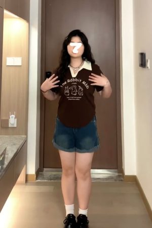 Plus Size American Retro Short Sleeve Polo Collar V-Neck Cropped T-Shirt for Women - Flattering Summer Top for Curvy Figures