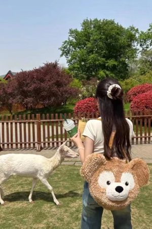 Plush Duffy Bear Big Face Bag - Versatile Cartoon Teddy Bear Doll Double Shoulder Handbag in Snow Pear Rose - Y2K Style