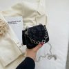 Trendy Mini Handbag for Women - Summer 2025 Internet Celebrity Chain Bag, Niche Design Shoulder Crossbody Bag