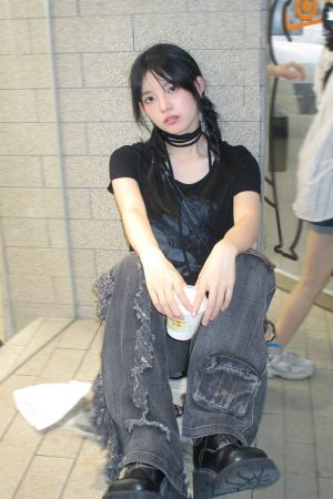 Vintage Black Butterfly Print Tie-Up Cotton T-Shirt for Women - Slim Fit Short Sleeve Summer Top in Sweet and Spicy Style