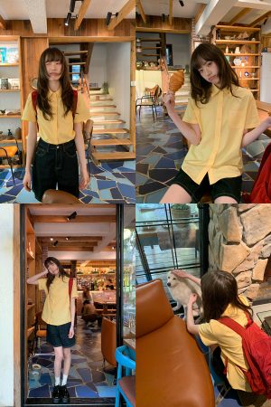 Women's Summer Short-Sleeve Shirt with Small Embroidery, Loose Fit, Slimming Design, High-End Casual Style